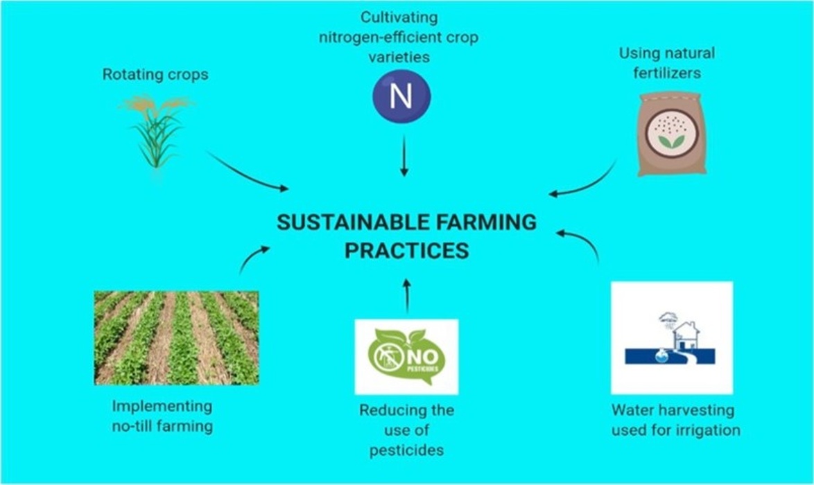 Sustainability - Primeview Farmers Store